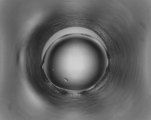 X0000112480429200908171223