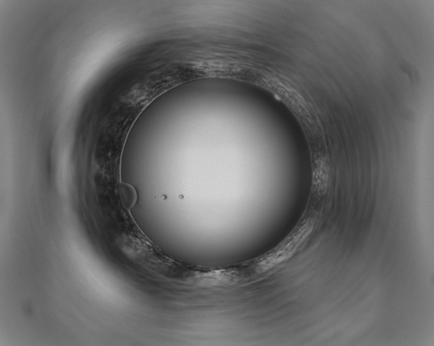 X0000112480430200908171223