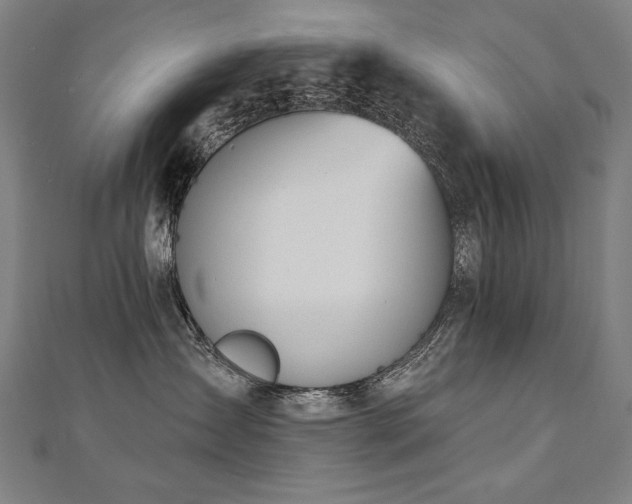 X0000112480431200908171223