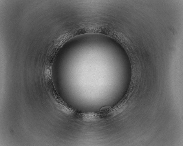 X0000112480432200908171223