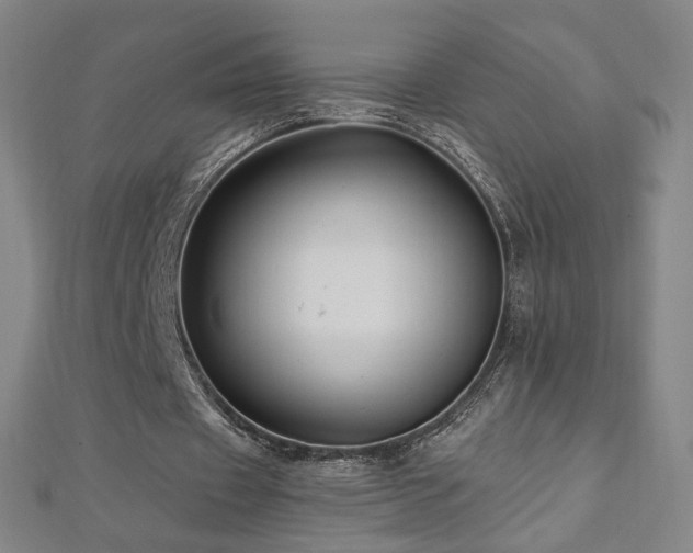 X0000112480433200908171223