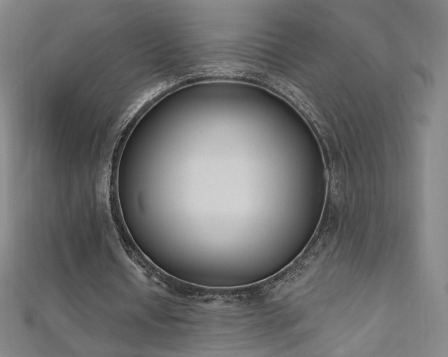X0000112480434200908171223