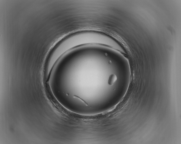 X0000112480436200908171223