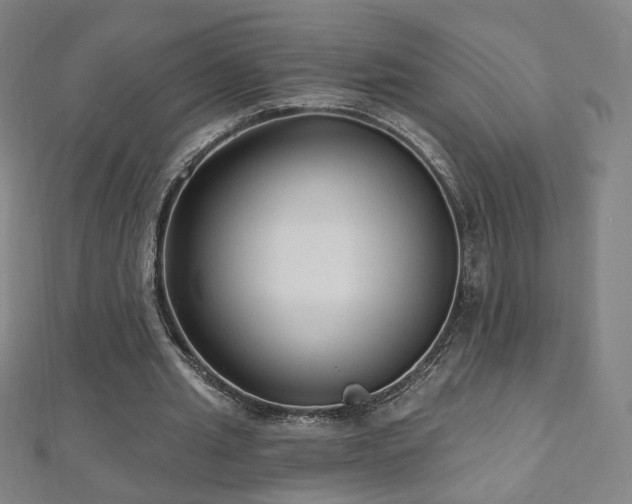 X0000112480437200908171223