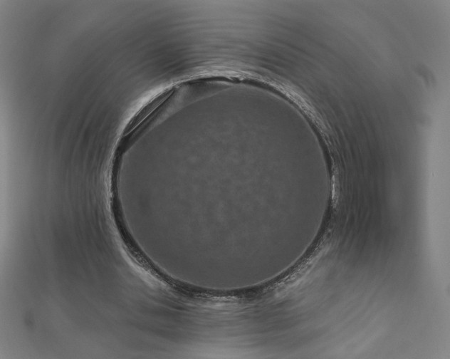 X0000112480438200908171223