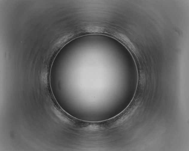 X0000112480441200908171223