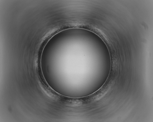 X0000112480443200908171223