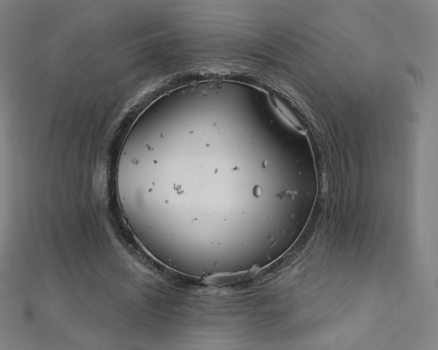 X0000112480444200908171223