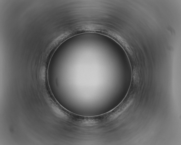 X0000112480445200908171223