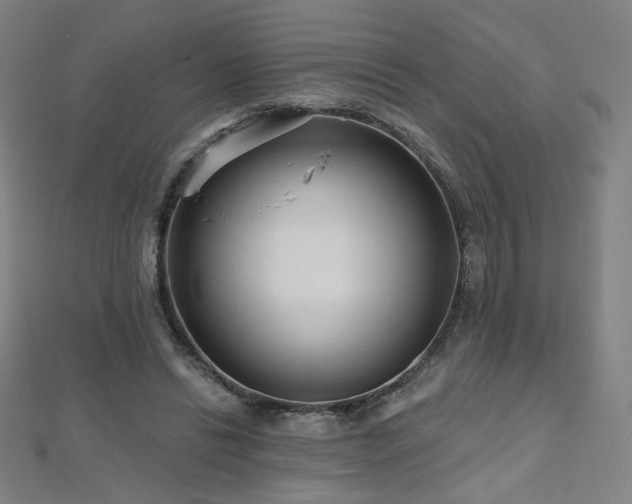 X0000112480446200908171223