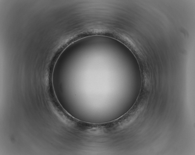 X0000112480447200908171223
