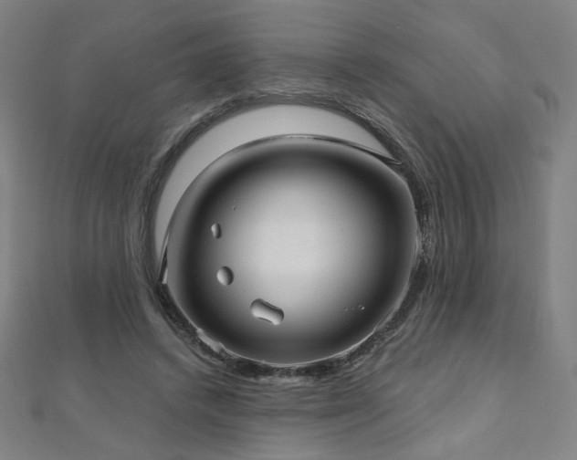 X0000112480448200908171223