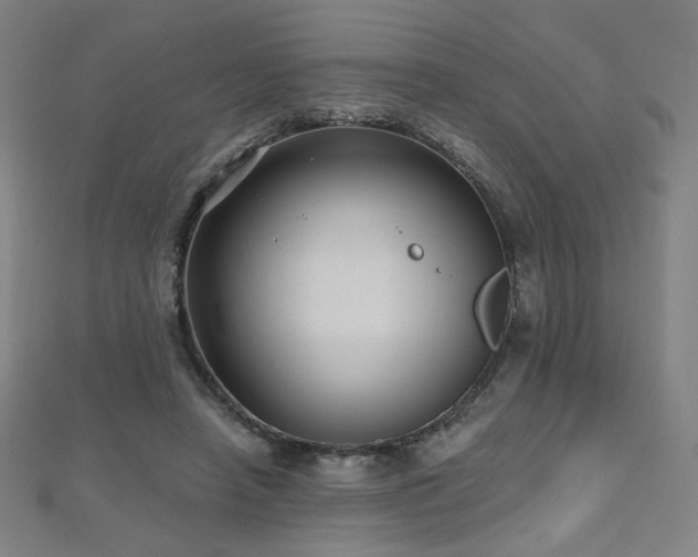 X0000112480450200908171223