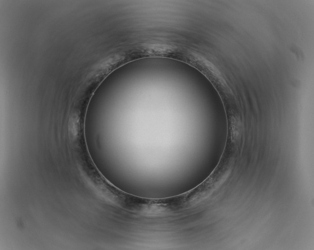X0000112480451200908171223