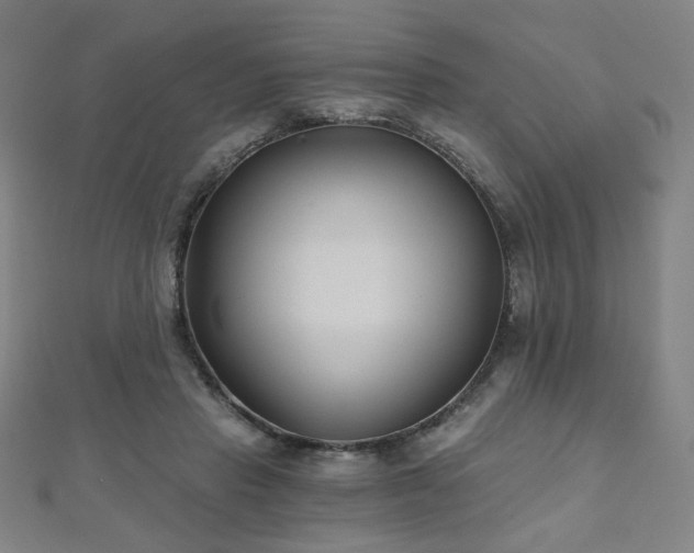 X0000112480453200908171223