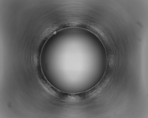 X0000112480455200908171223