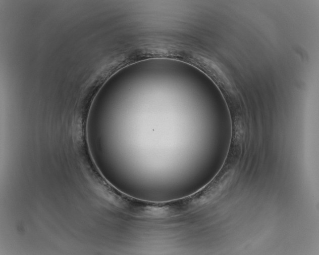 X0000112480457200908171223