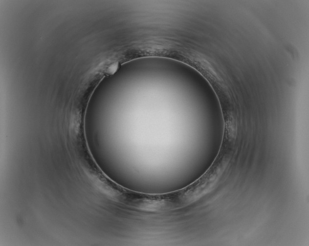 X0000112480458200908171223