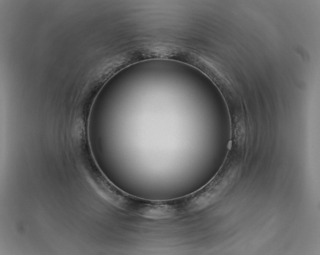 X0000112480459200908171223