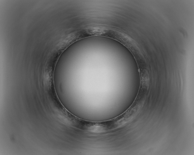 X0000112480460200908171223