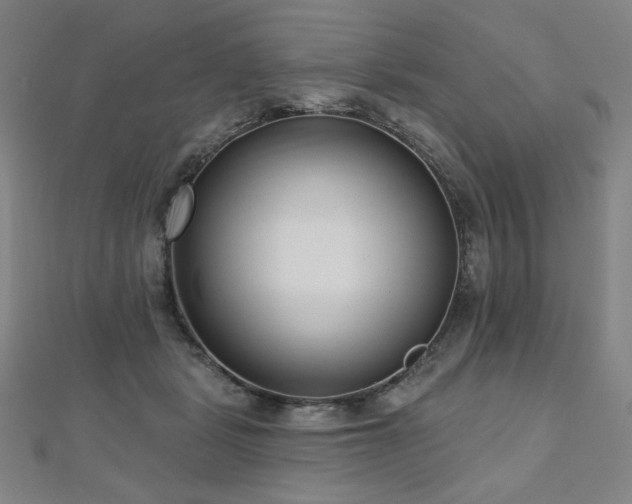 X0000112480461200908171223