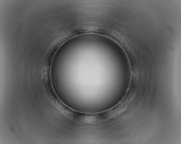 X0000112480462200908171223