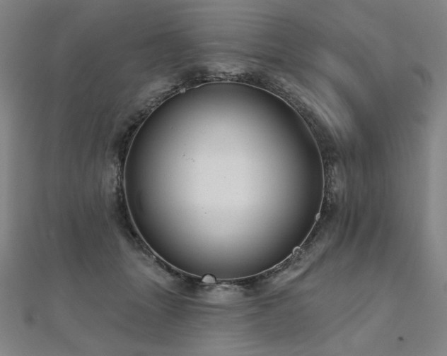 X0000112480463200908171223