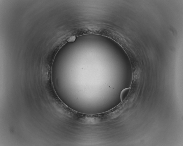 X0000112480464200908171223