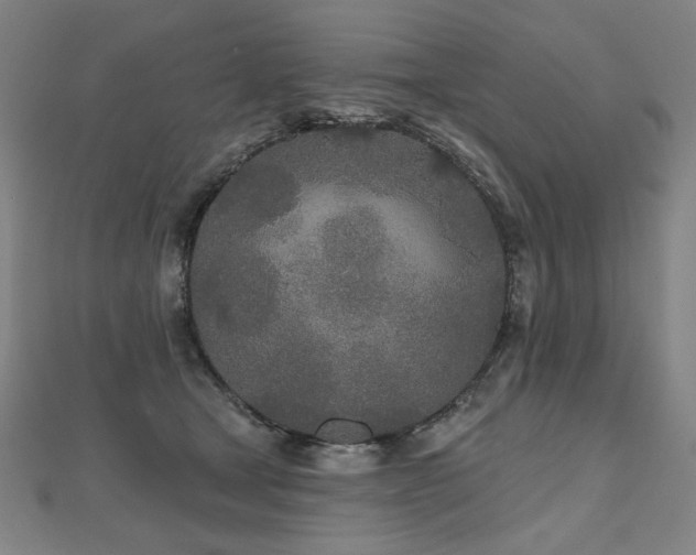 X0000112480465200908171223