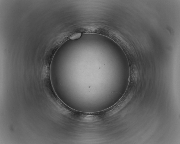 X0000112480467200908171223