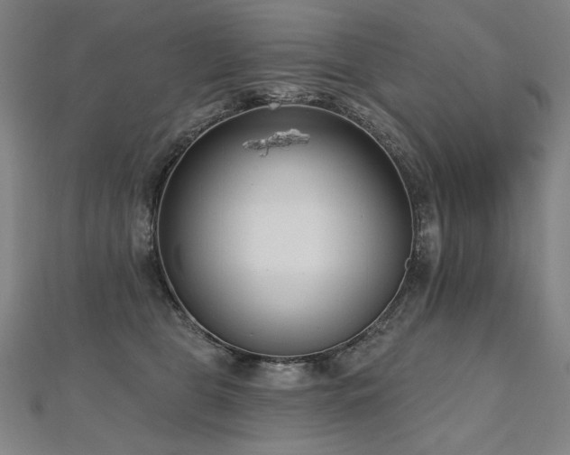 X0000112480469200908171223