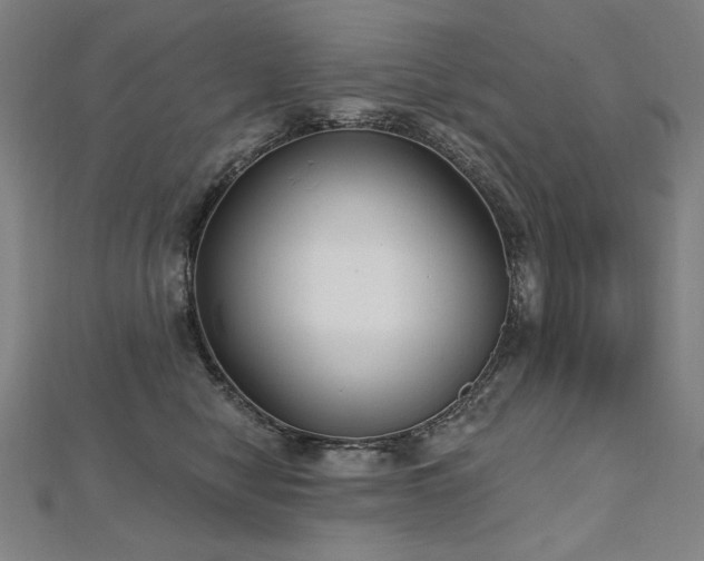 X0000112480470200908171223