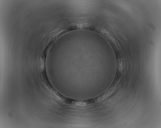 X0000112480471200908171223