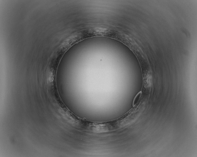 X0000112480472200908171223