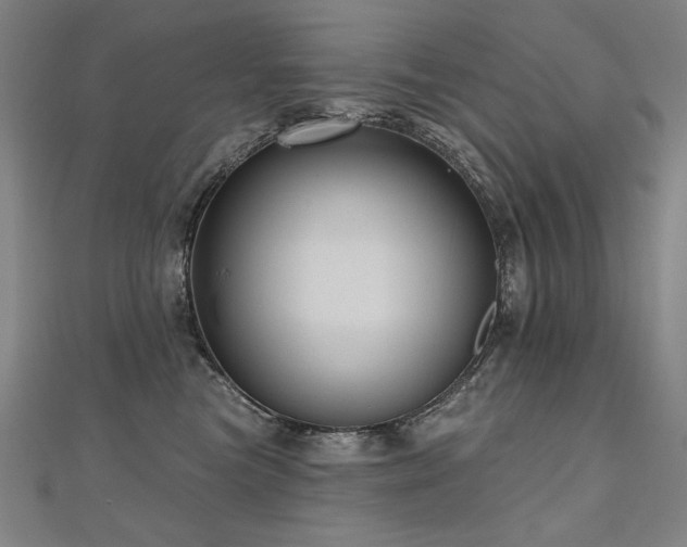 X0000112480473200908171223