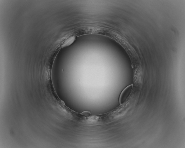X0000112480474200908171223