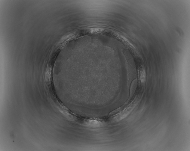 X0000112480475200908171223