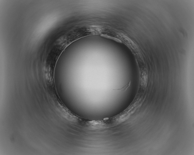 X0000112480477200908171223