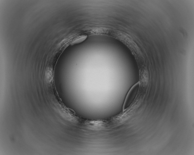 X0000112480478200908171223