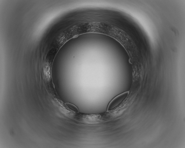 X0000112480479200908171223
