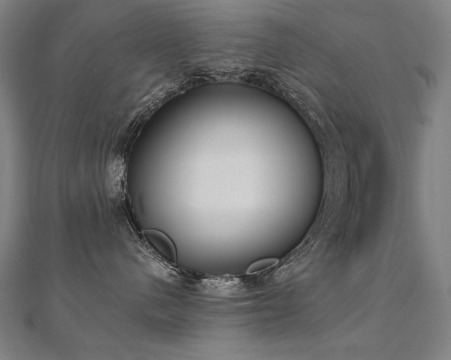 X0000112480480200908171223