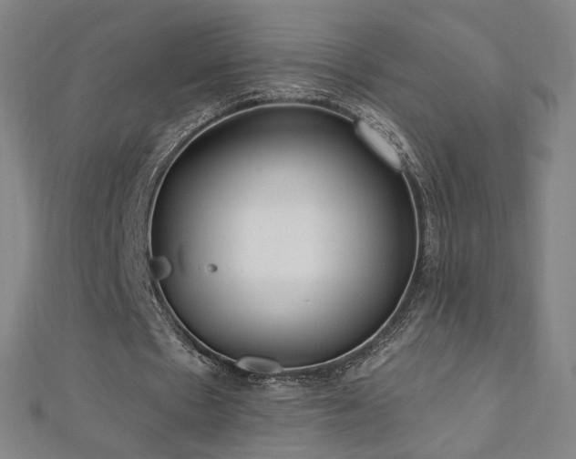 X0000112480481200908171223