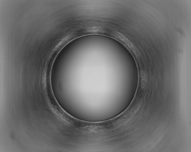 X0000112480482200908171223