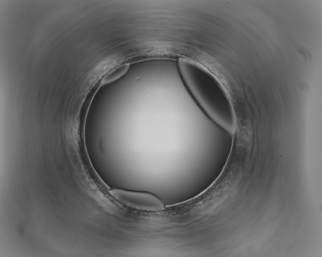 X0000112480485200908171223