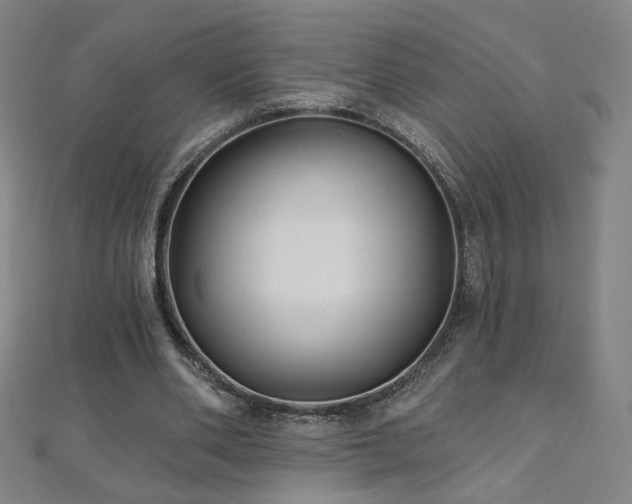 X0000112480486200908171223
