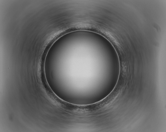 X0000112480487200908171223