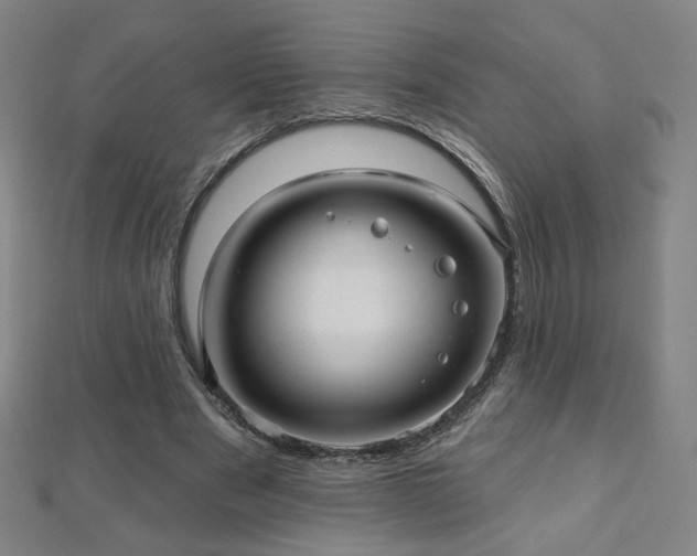 X0000112480489200908171223