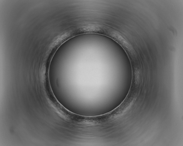 X0000112480490200908171223