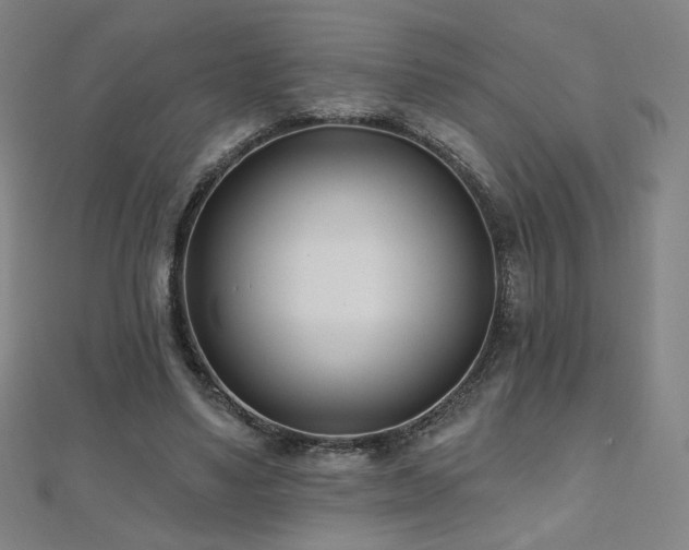 X0000112480491200908171223