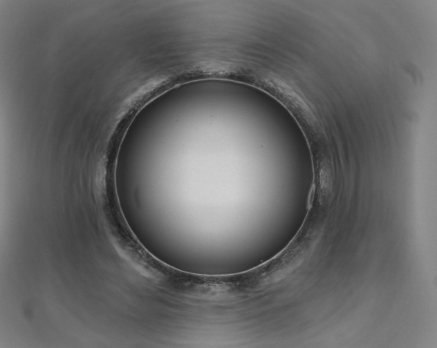 X0000112480492200908171223
